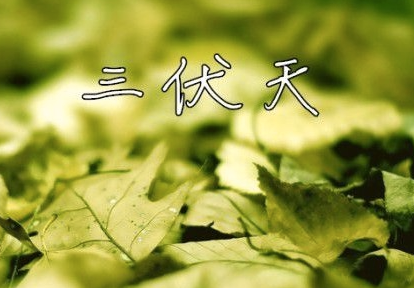 头伏是哪一天1