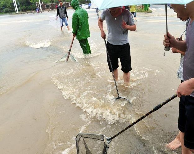 江苏扬州市遭遇暴雨最新消息1