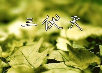 2015何时入伏1