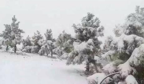 云南多地十月降雪最新消息1