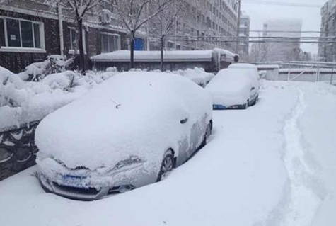 2015年黑龙江暴雪来袭1
