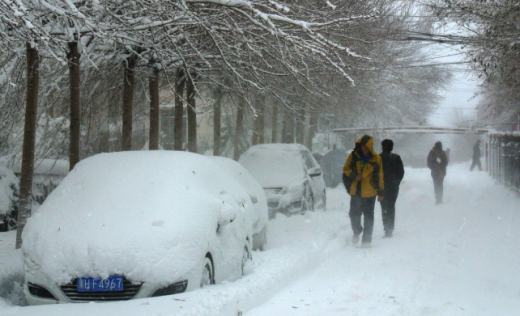 黑龙江暴雪来袭1