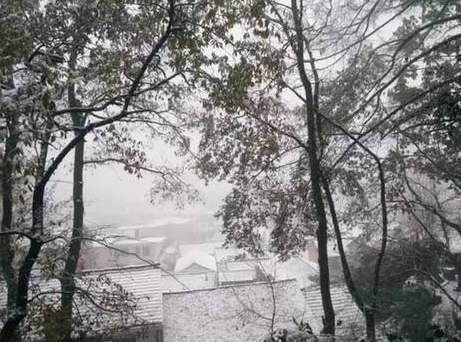 2015杭州下雪最新消息1