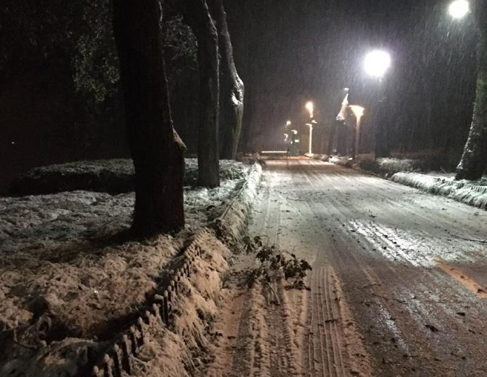 2015杭州降首场大雪1