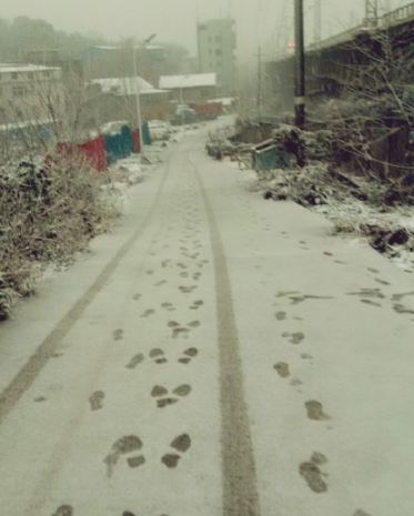 2016江西下雪1