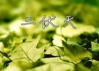 2016三伏天时间从什么时候开始1