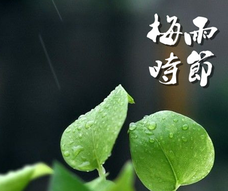 2016年梅雨季节大约什么时候1