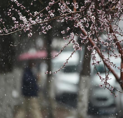 吉林下雪了吗1