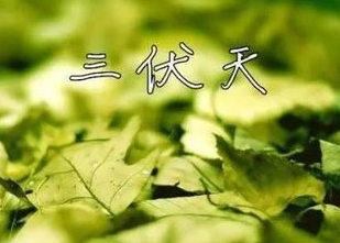 2016伏天从什么时候开始1