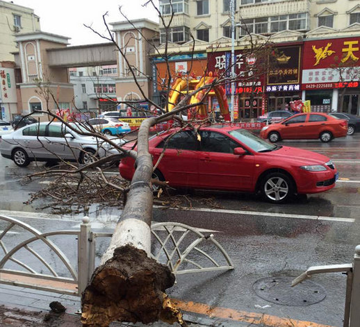 5月3日辽宁遭遇暴雨大风袭击最新消息1