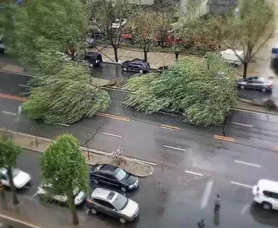 暴雨大风袭击辽宁最新消息1