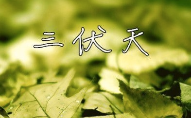 2016年什么时候出伏1