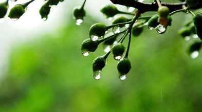 2016年宁波梅雨季节是什么时候1