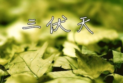今年夏天什么时候入伏1