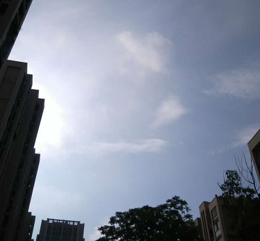 2016的初伏是哪天1