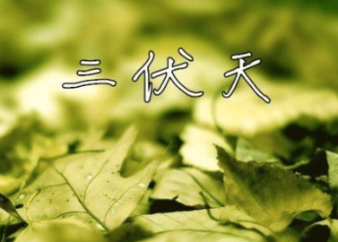 2016头伏第一天是什么时候1