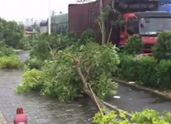 台风莫拉蒂登陆厦门翔安1