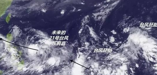 2016年第21号台风莎莉嘉会影响哪里1