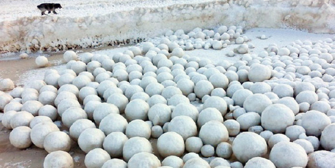 俄海岸现大量雪球1