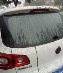 浙江萧山突降黑雨1