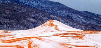 2016撒哈拉沙漠下雪最新消息2