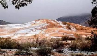 撒哈拉沙漠下雪1