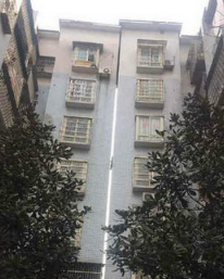 重庆4.8级地震1