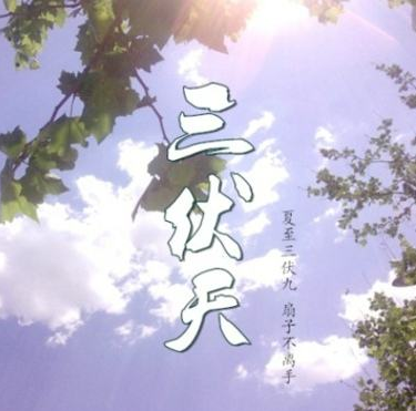 2017年初伏从哪天开始1