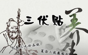 2017年三伏贴要贴几次1