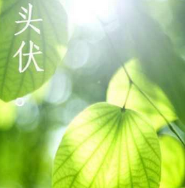 2017年头伏时间是什么时候1